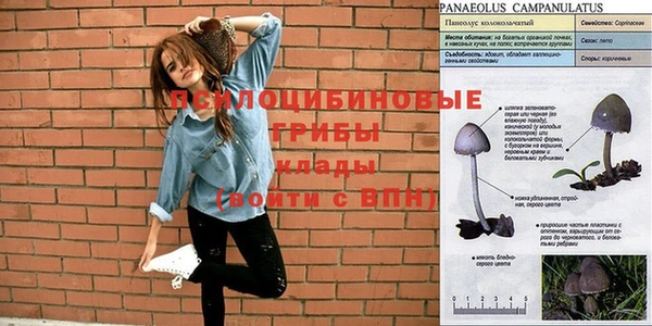 синтетический гашиш Абинск