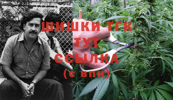 ешки Лагань