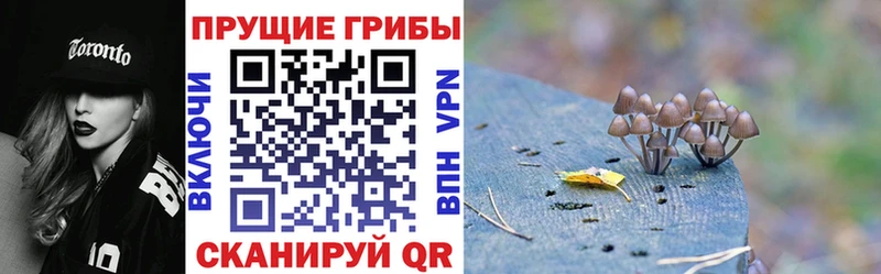 Галлюциногенные грибы GOLDEN TEACHER  Чулым 